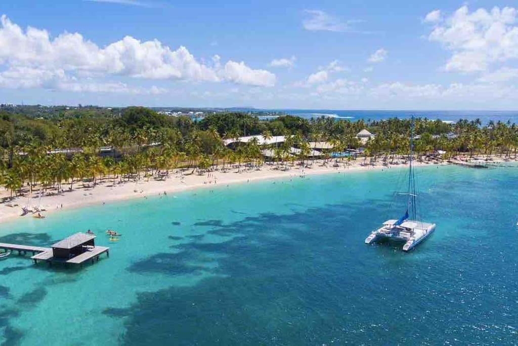 Le Sable Bleu - Evasion Tropicale A Sainte-Anne - Plage 5Min - Piscine - Parking - Logement Climatise - Vue Sur Les Palmiers - Parfait Pour Sejours En Famille Ou Entre Amis Dış mekan fotoğraf
