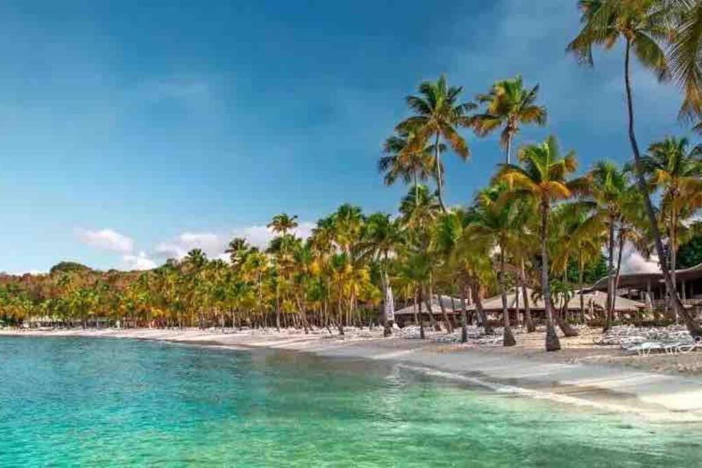 Le Sable Bleu - Evasion Tropicale A Sainte-Anne - Plage 5Min - Piscine - Parking - Logement Climatise - Vue Sur Les Palmiers - Parfait Pour Sejours En Famille Ou Entre Amis Dış mekan fotoğraf