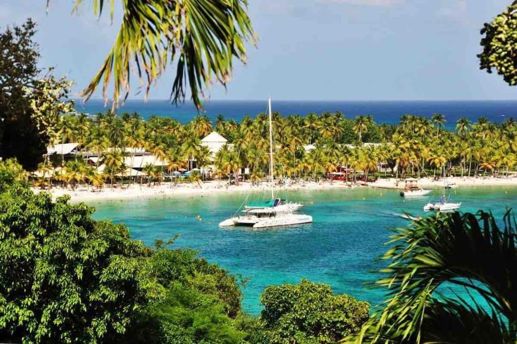 Le Sable Bleu - Evasion Tropicale A Sainte-Anne - Plage 5Min - Piscine - Parking - Logement Climatise - Vue Sur Les Palmiers - Parfait Pour Sejours En Famille Ou Entre Amis Dış mekan fotoğraf