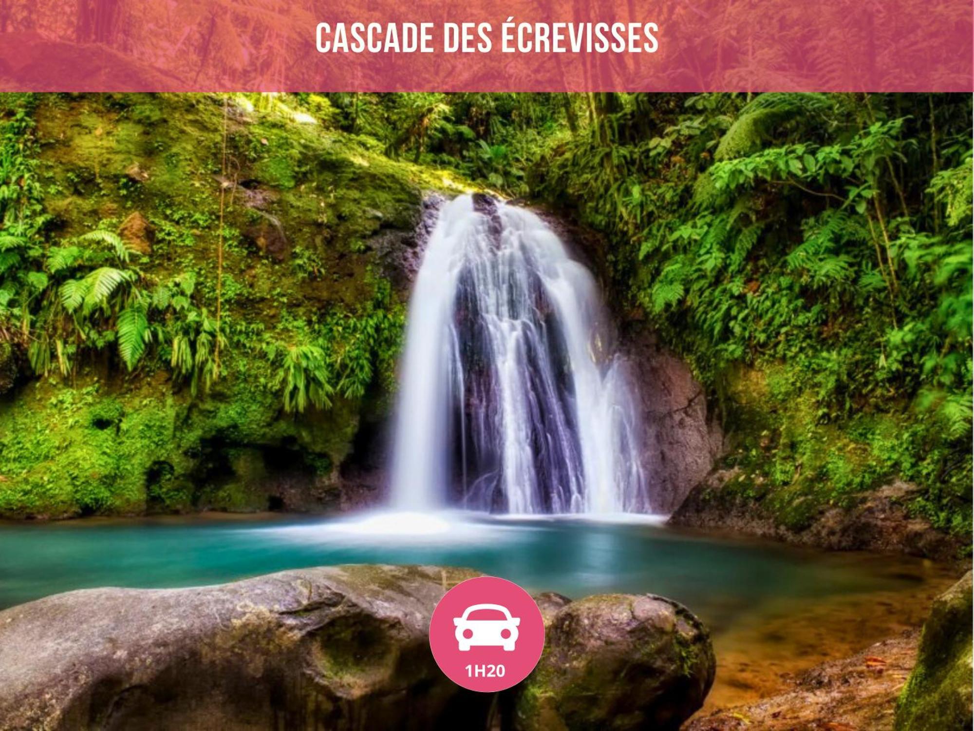 Le Sable Bleu - Evasion Tropicale A Sainte-Anne - Plage 5Min - Piscine - Parking - Logement Climatise - Vue Sur Les Palmiers - Parfait Pour Sejours En Famille Ou Entre Amis Dış mekan fotoğraf