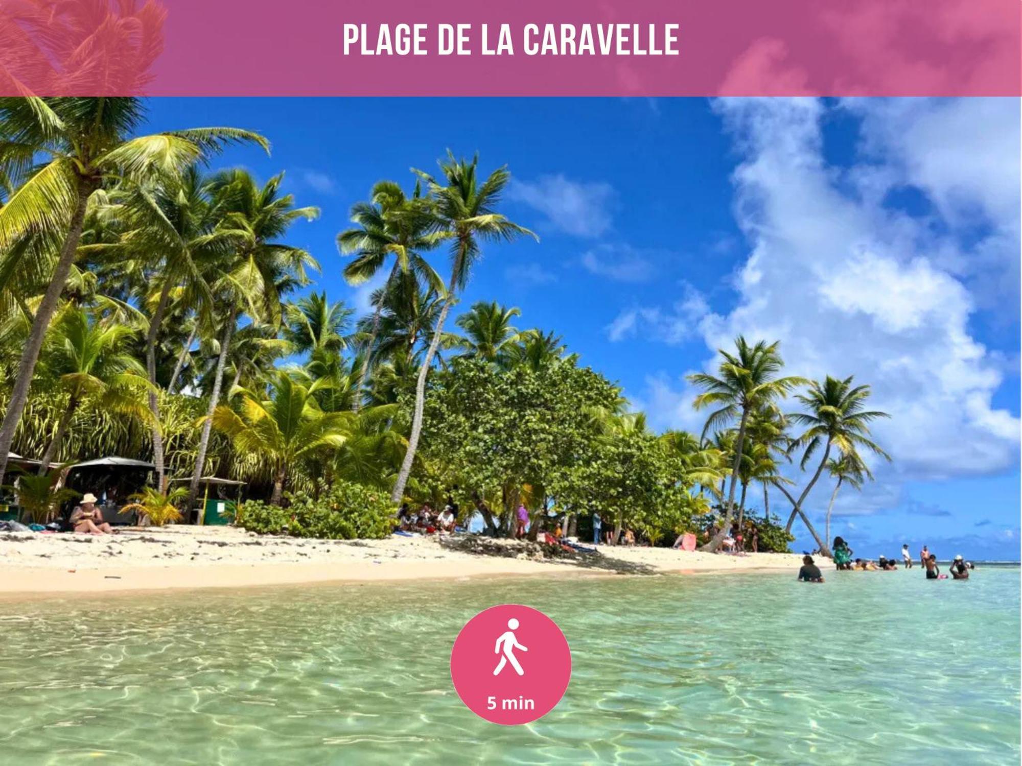 Le Sable Bleu - Evasion Tropicale A Sainte-Anne - Plage 5Min - Piscine - Parking - Logement Climatise - Vue Sur Les Palmiers - Parfait Pour Sejours En Famille Ou Entre Amis Dış mekan fotoğraf